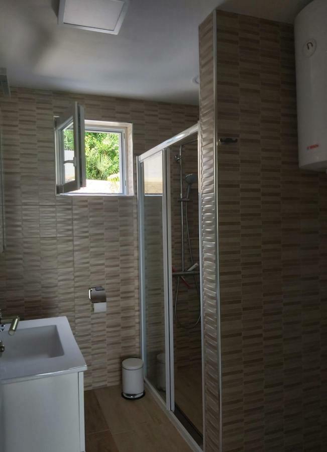 Apartment Irina Icici